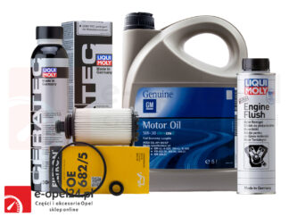 Zestaw filtra oleju Filtron, 5L oryginalnego oleju GM, płukanka Liqui Moly Engine Flush i ceramizer Cera Tec - Opel Antara/ Insignia A B / Zafira C - 2.0 CDTI - 95528277 / 19 42 003 / 2640 / 7181